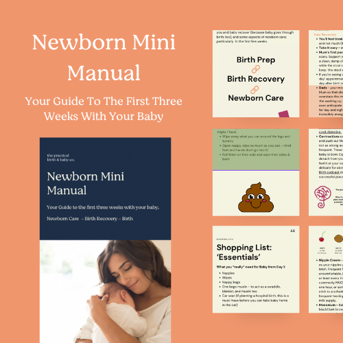 The Newborn Mini Manual